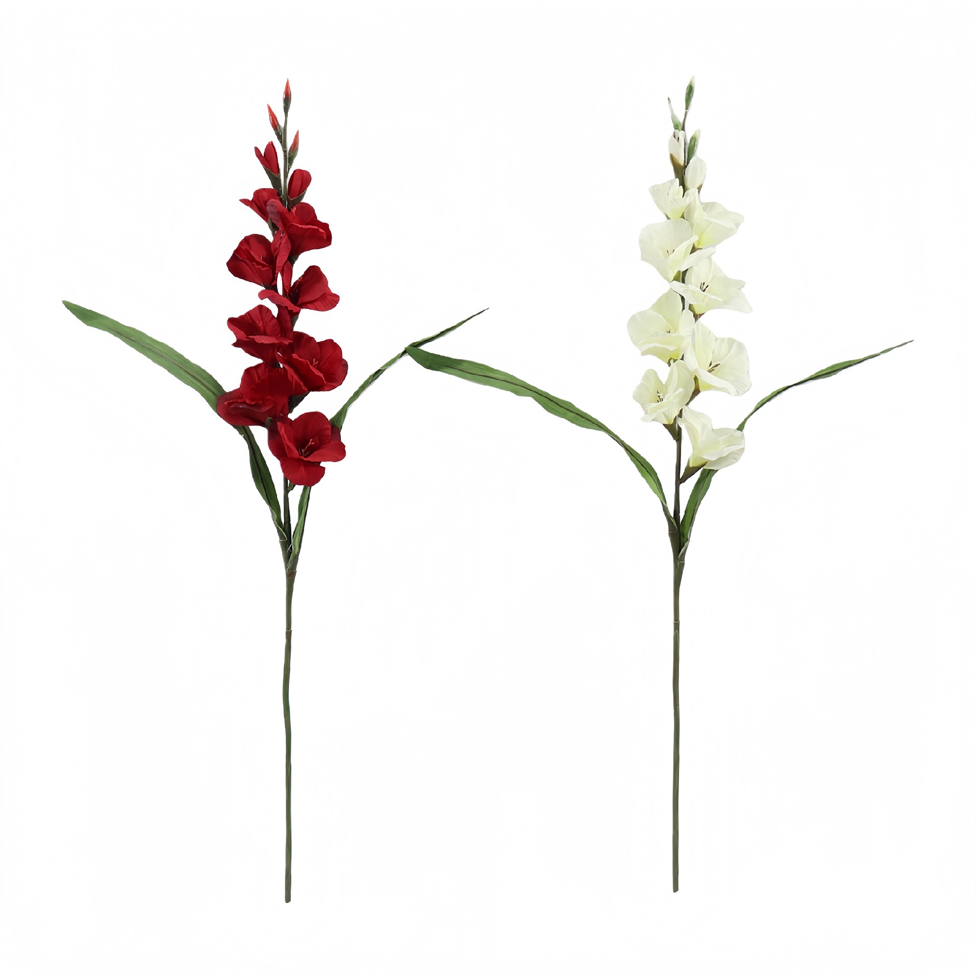 B250326YH-94 (1).JPG