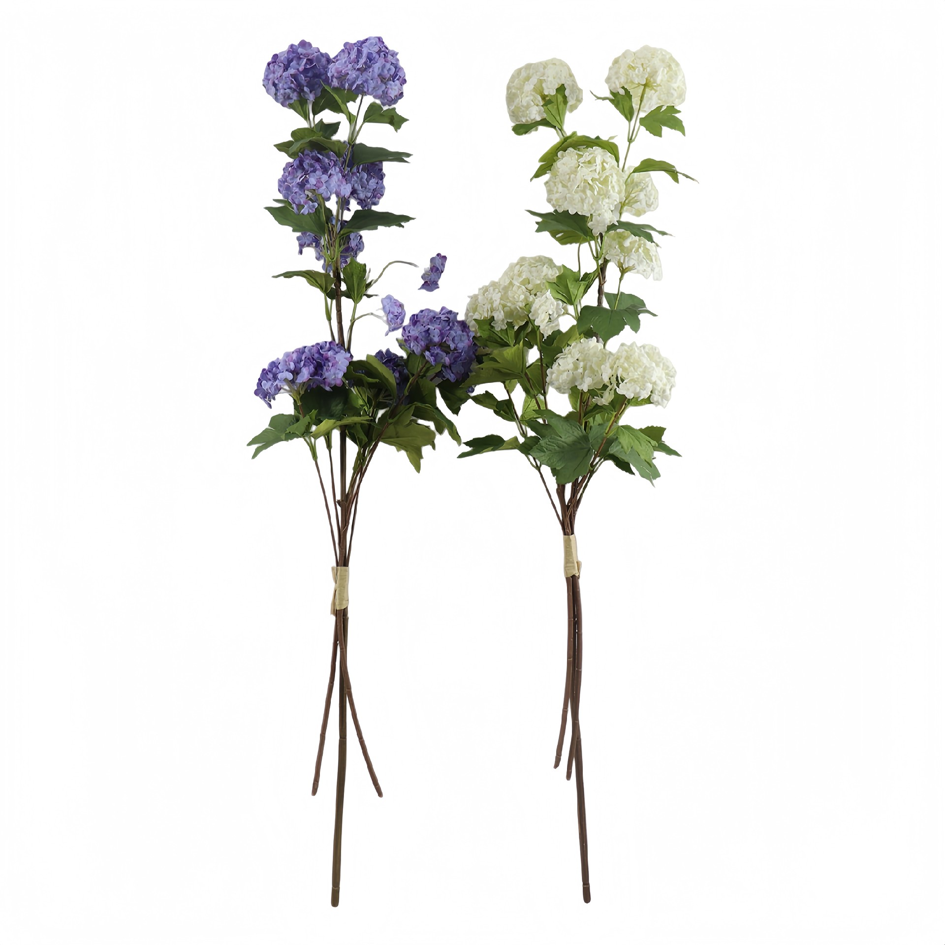 B250374GL-96 (1).JPG