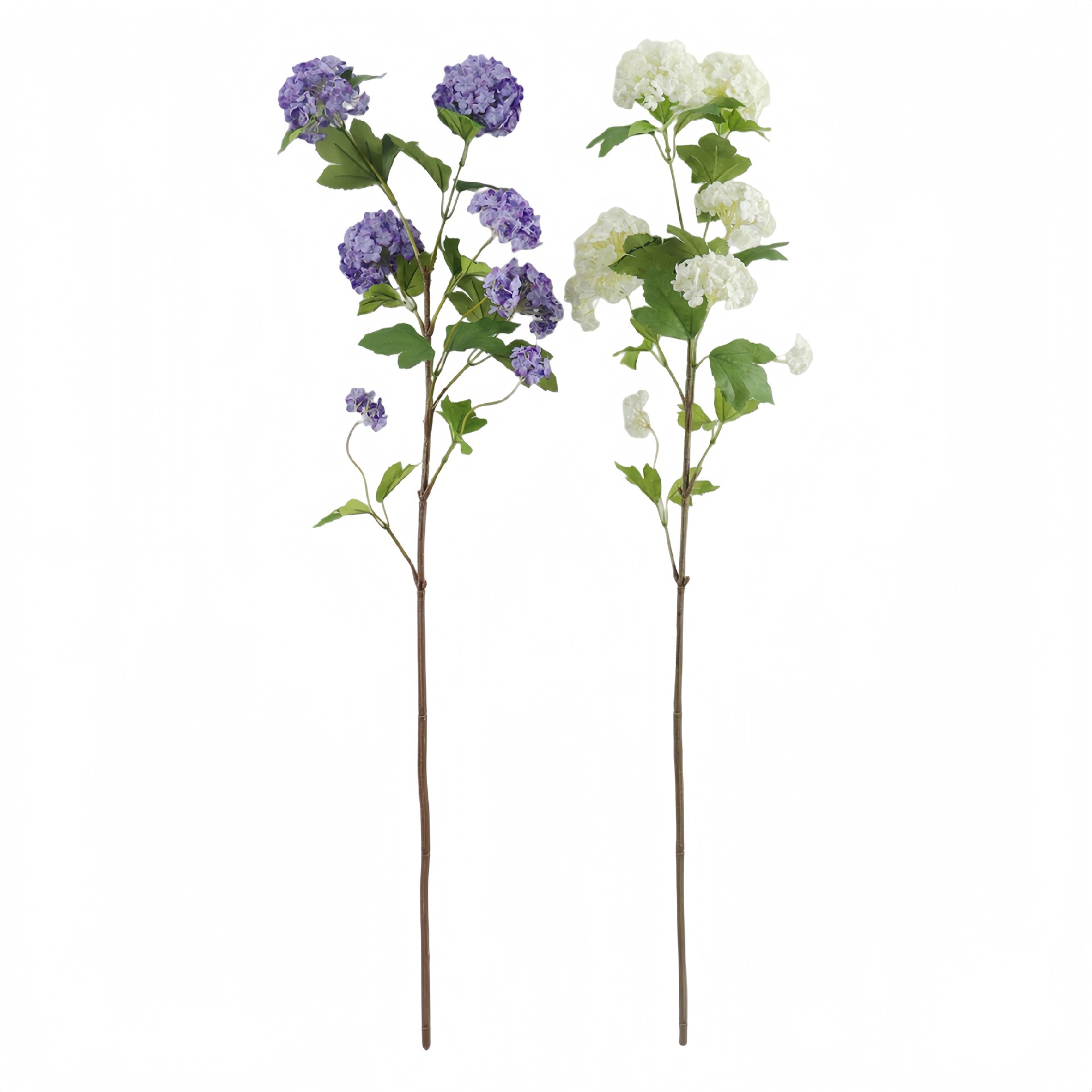 B250381GL-100 (1).JPG