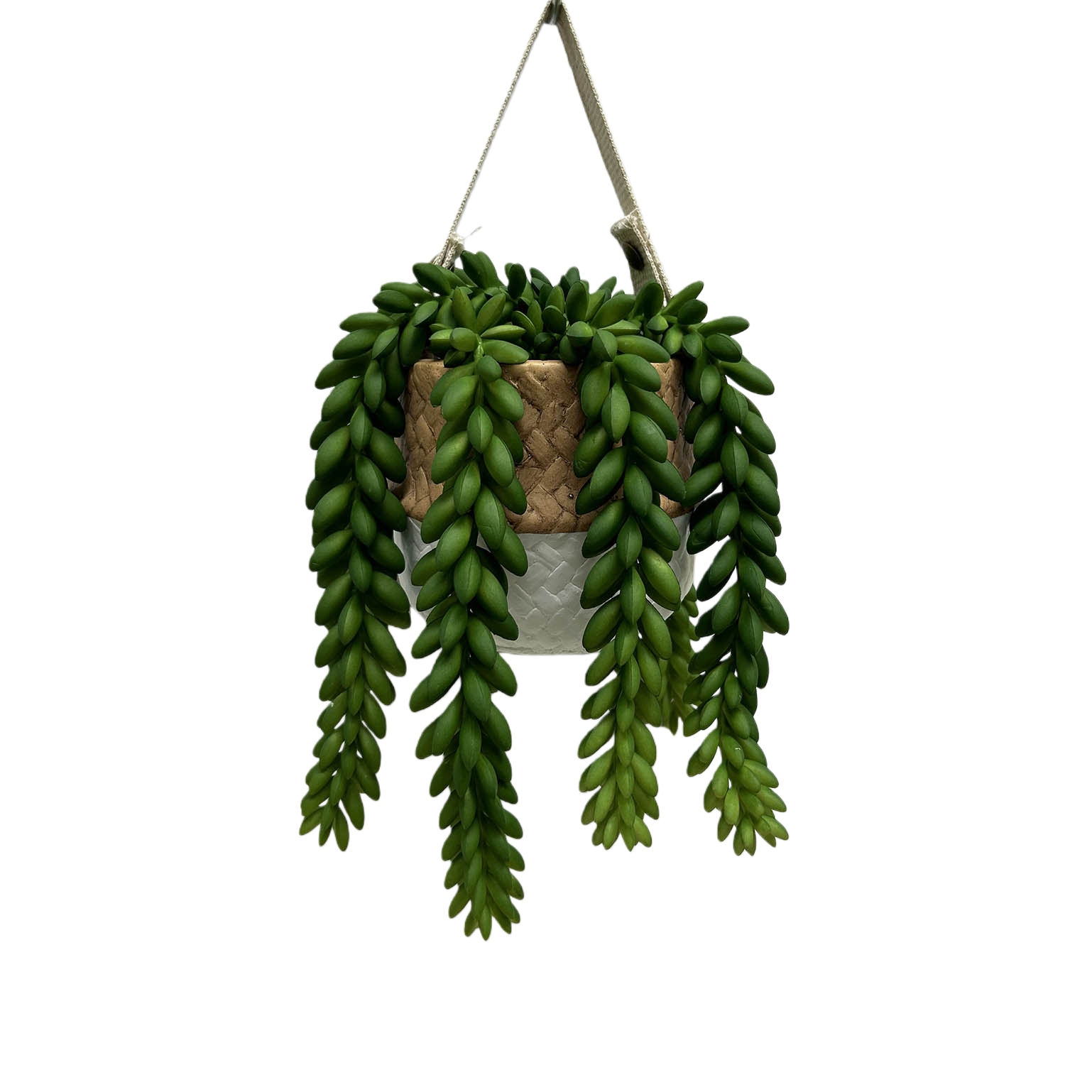 HB230076-28(含带28CM 不含带20CM).jpg