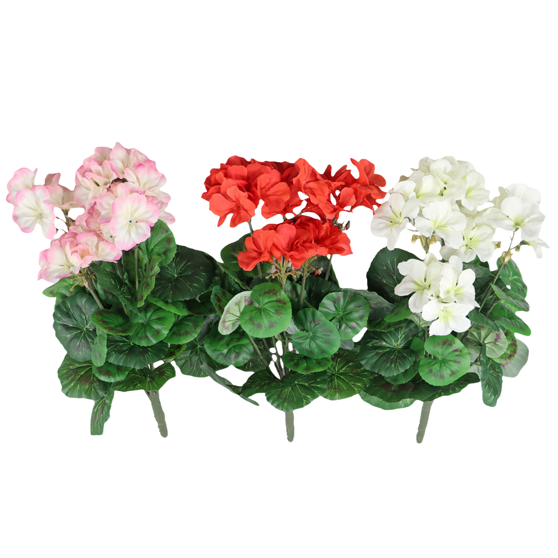 B250089GR-40 (1).JPG