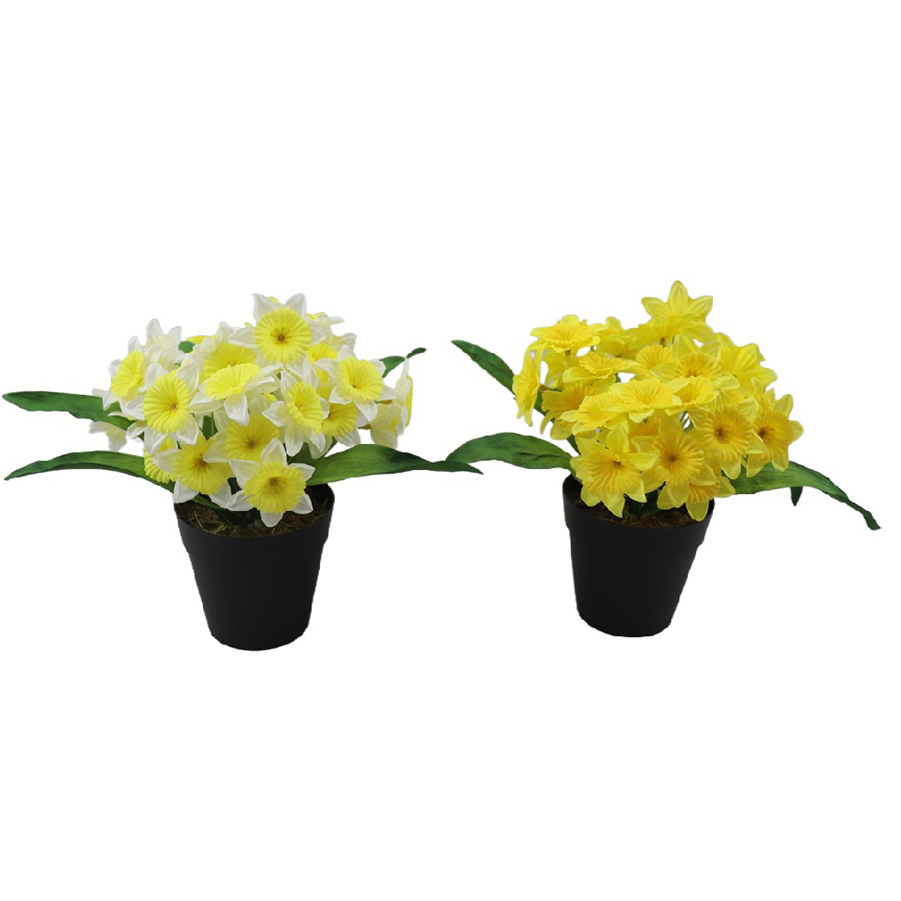 P250677GR-22 (1).jpg