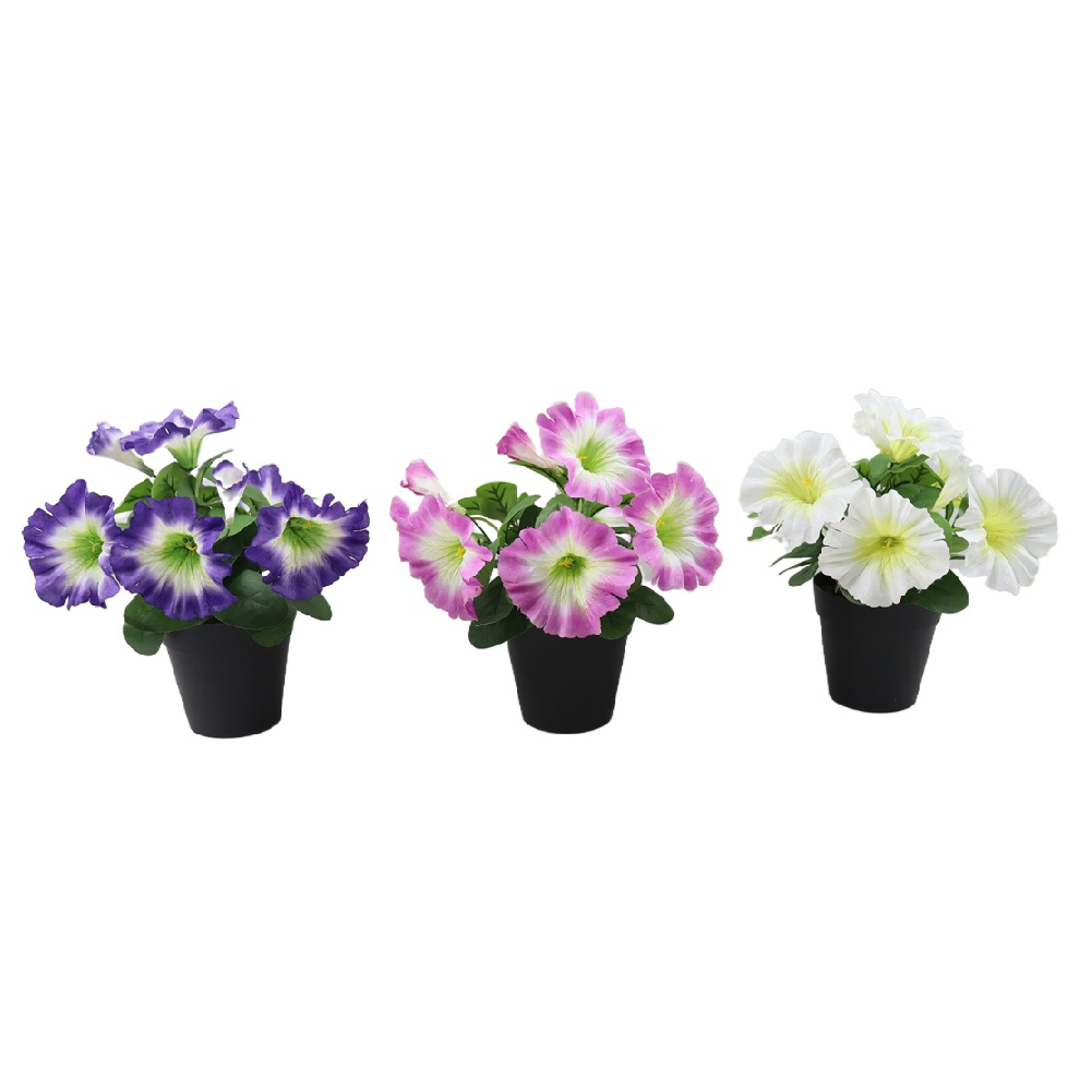 P250679GR-20 (1).jpg